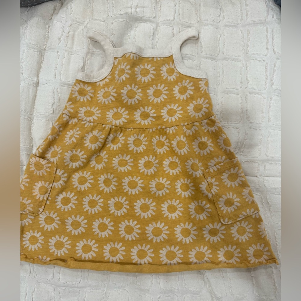 Little Co. Daisy Dress size 18m